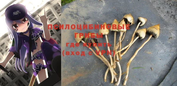 крисы Аркадак
