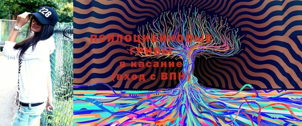 2c-b Арсеньев