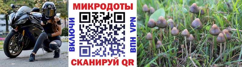 Галлюциногенные грибы прущие грибы  kraken tor  Соль-Илецк 